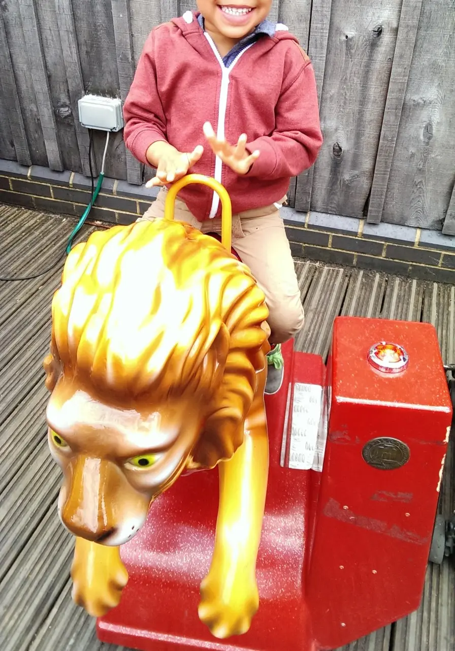 I did see a lion after all! ;-)