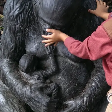 'Helping' Mummy Gorilla