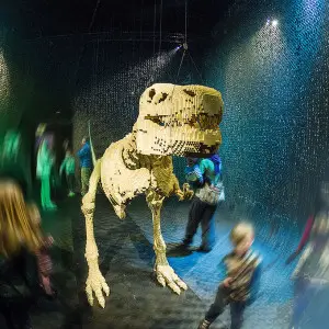 Mushroom's favourite exhibition piece! *click for source.