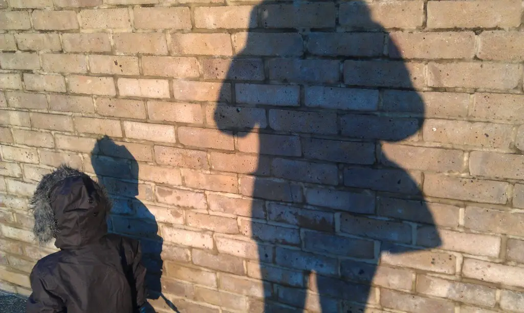  Mushroom and Me