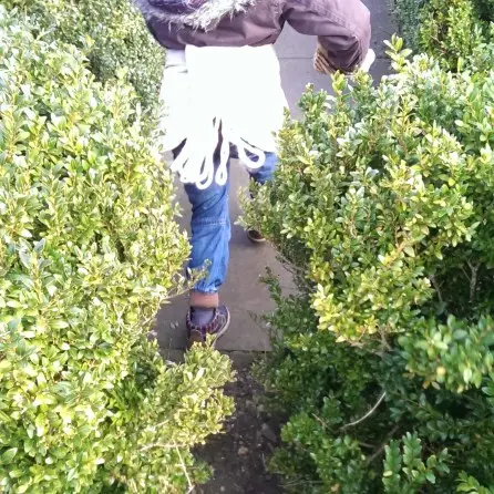Running around the maze