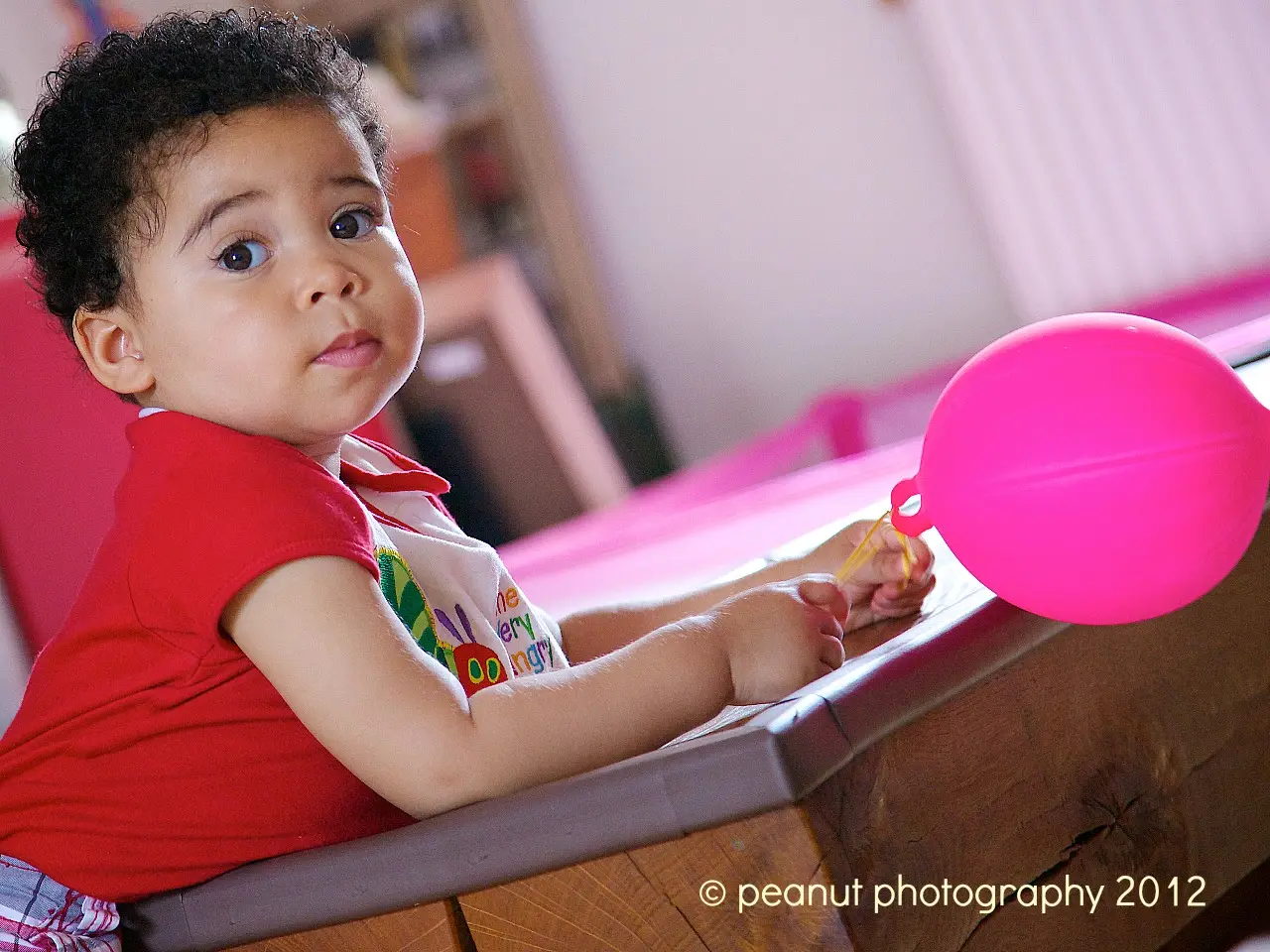 Mushroom by Peanut Photography