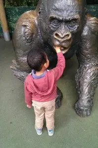 'Feeding' the Gorilla