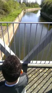 OvertheBridge_MotheringMushroom