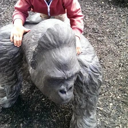 Piggyback on Daddy Gorilla