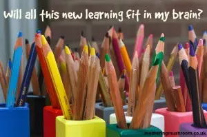 Will all this new learning fit in my brain?