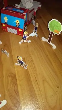 Recsuing cats