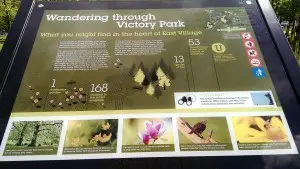 Nature trail Victory Park_MotheringMushroom